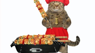 케밥 만들어주는 고양이