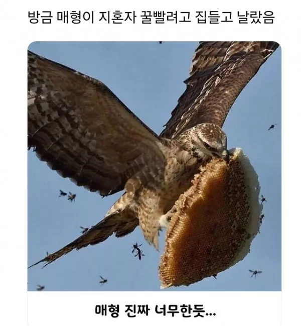 8c43c1e970bd3c0f4a620840219dd8f9_1741750130_3564.webp