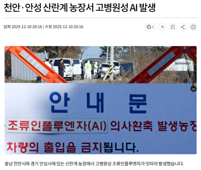 6a4a9409c1ccf7211bcea3e493cdd47c_1765375354_4966.webp 6a4a9409c1ccf7211bcea3e493cdd47c_1765375354_4966.webp