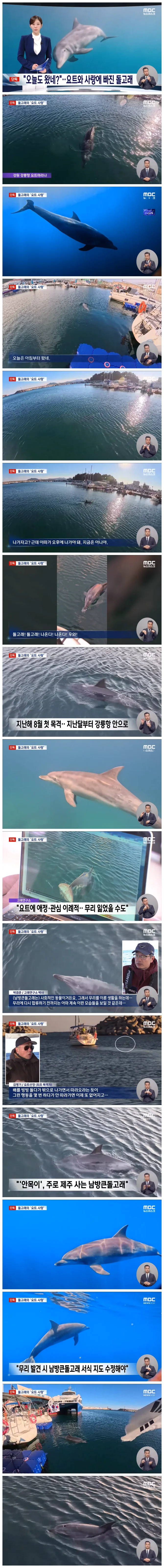 840ba364391fd11ac840c73e4a9cb319_1767796497_4958.webp 840ba364391fd11ac840c73e4a9cb319_1767796497_4958.webp