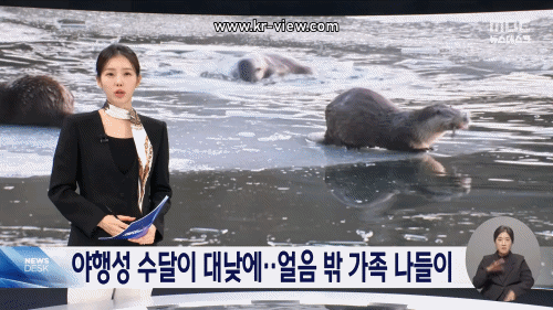 ed2c9fd4605c3ffb92e84dca9b992577_1769517368_6615.gif ed2c9fd4605c3ffb92e84dca9b992577_1769517368_6615.gif