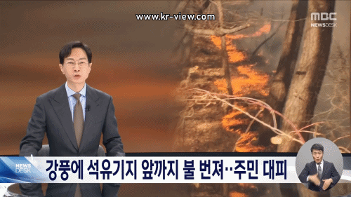 4389992ecdba1f933933f864d7c01ee6_1771677896_7911.gif 4389992ecdba1f933933f864d7c01ee6_1771677896_7911.gif