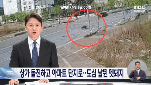 00bc3acefbdea11b4f1f7b920b611982_1776255985_4669.gif 00bc3acefbdea11b4f1f7b920b611982_1776255985_4669.gif