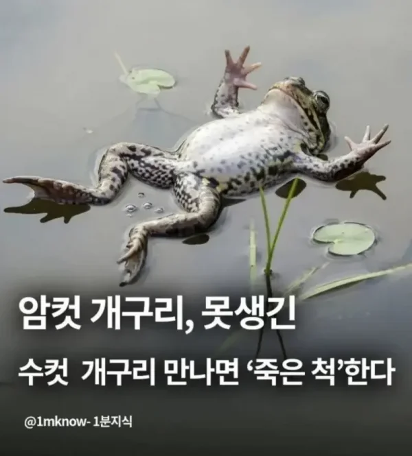 60f39b51b68999c8443553c120a15c43_1778536611_8332.webp