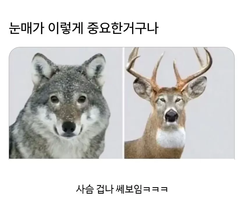 5e86974de330e99e3e8ce7bbbb89abe0_1783596206_4664.webp