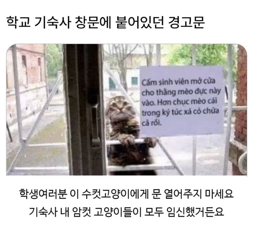 767f02004e0a9de3829cb210e603dd0d_1786792726_7461.webp