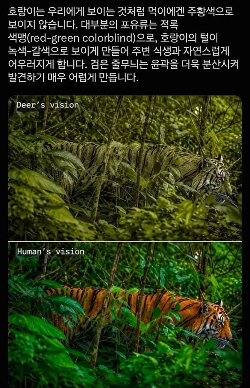 2fd9f16cedeb43bf35a05e1fc107898d_1790725779_2512.webp