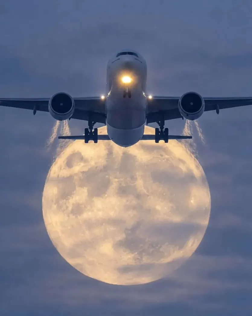ceb59388973b5120de30173376aec9ec_1790120688_8564.webp