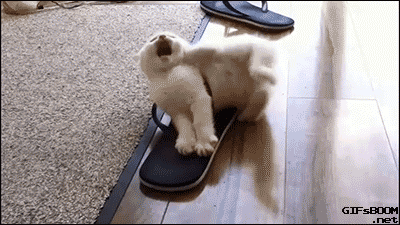 8e5549a9022cbc556263d86749915a89_1791864142_6195.gif