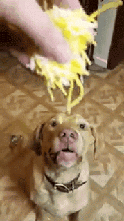 8e5549a9022cbc556263d86749915a89_1792135975_5828.gif