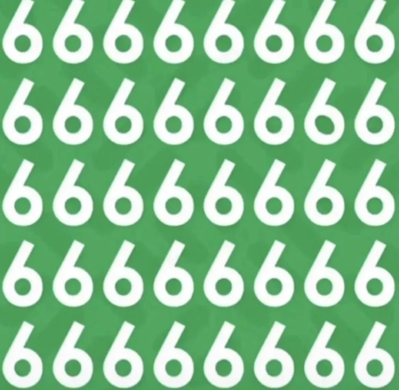 c371554f55057133f786831ff4f40d2f_1792981548_5293.webp