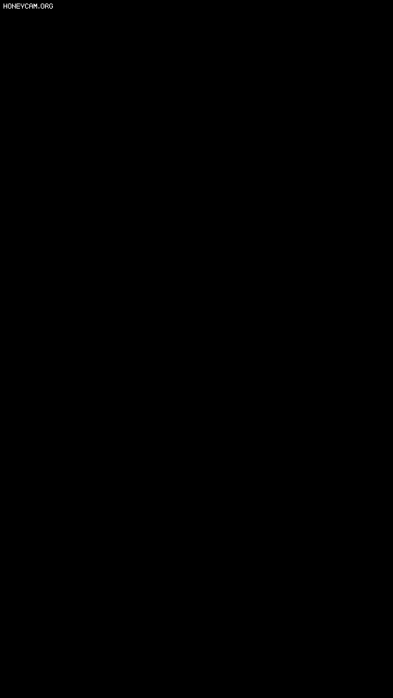 c371554f55057133f786831ff4f40d2f_1793262758_2198.webp