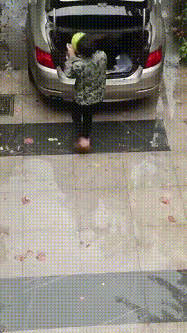 c371554f55057133f786831ff4f40d2f_1793321389_8258.gif