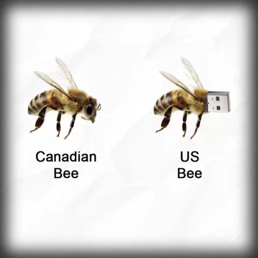 2fd9f16cedeb43bf35a05e1fc107898d_1791024630_7852.webp